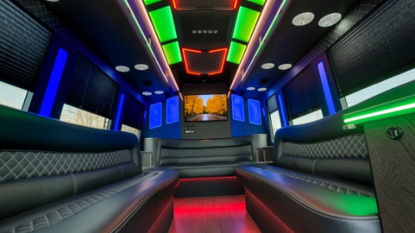 plymouth sprinter limo rental inside