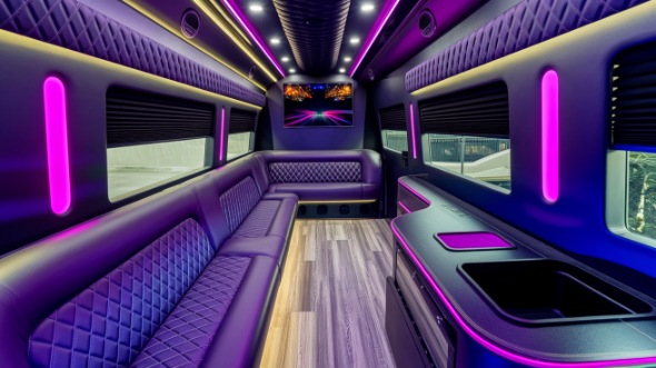 plymouth sprinter limo rental interior